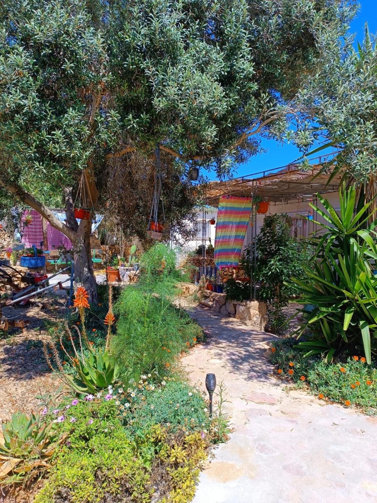 Appartement Cala Creta à LMP Extérieur photo